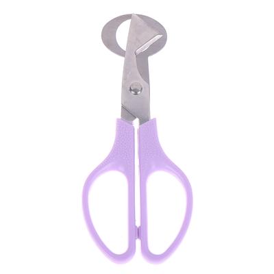 Tijeras para huevos de codorniz, cortadores de cáscaras de huevo de acero inoxidable, herramientas manuales de cocina