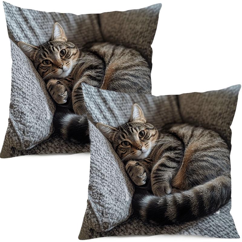 Søt Kattelur Kunstnerisk Design Pute: Søt og trøstende gave til katteelskere og entusiaster av koselig hjemmedekor