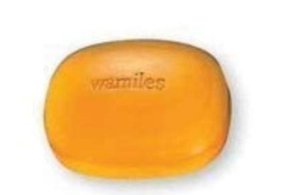 Wamiles Basic Line Ionu Seife 100g ohne Schale