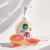 Dettol & Lotso Foaming Antibacterial Hand Wash