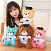 Graduation Teddy Bear Plush Toy - Doctoral Cap, Christmas Gift