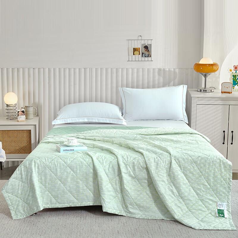 

Ziyun Mugwort Scented Antibacterial Quilt