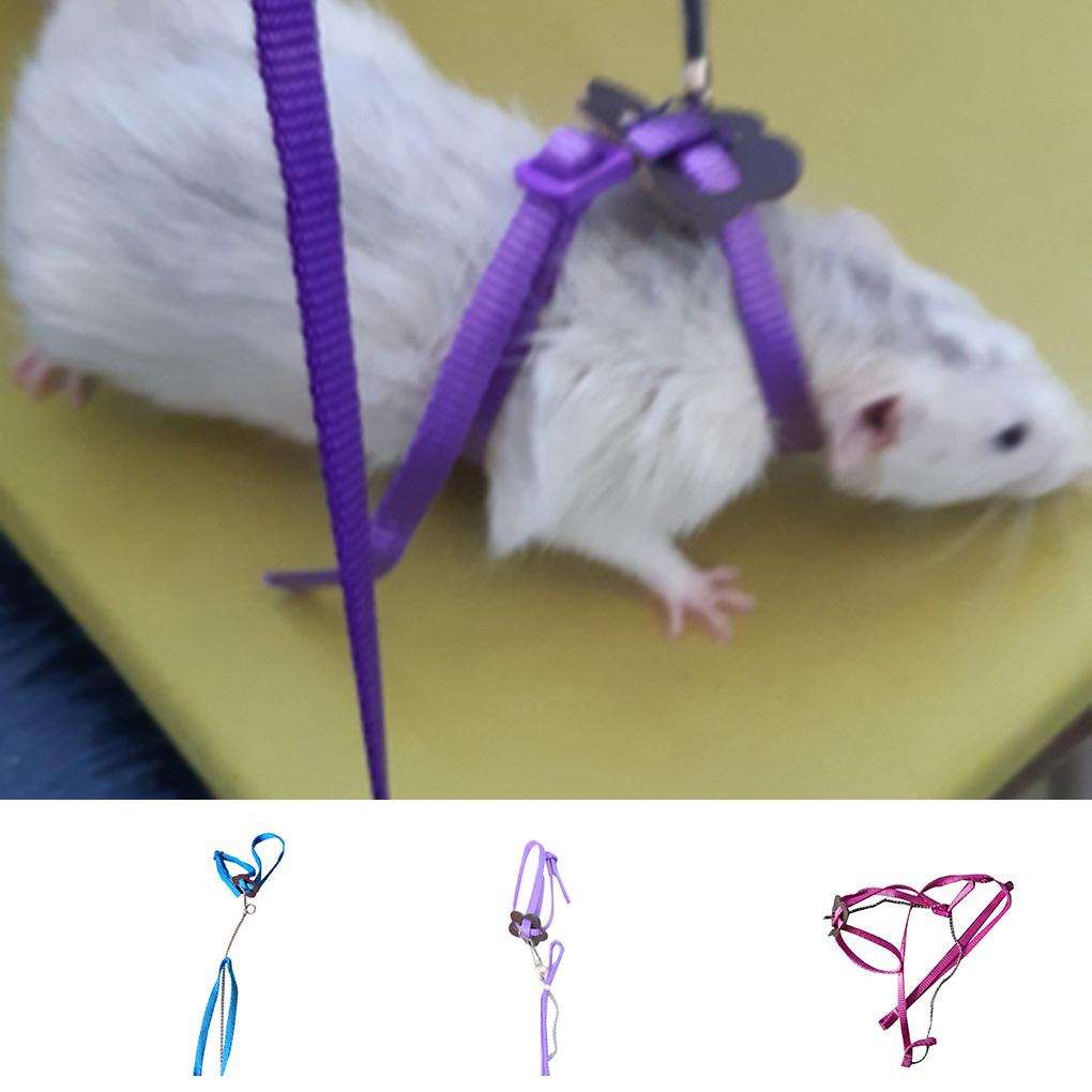 Outdoor Adjustable Bird Vest Leash Bird Training Rope Traction Strap Out Rope