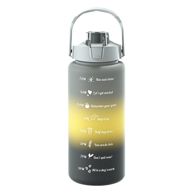 Large Capacity Sports Water Bottle With Straw Portable Handle Heat-resistant Outdoor Frosted Plastic Gradient Color Space Kettle