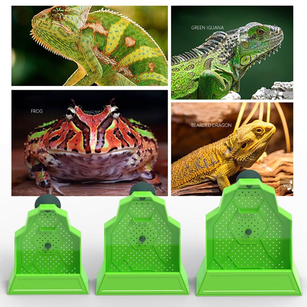 Aufhängbares Design Reptilien-Futter Napf Kunststoff Eidechsen Futter Schale Lebend-Insekten Schale Käfer Beute Fütterung