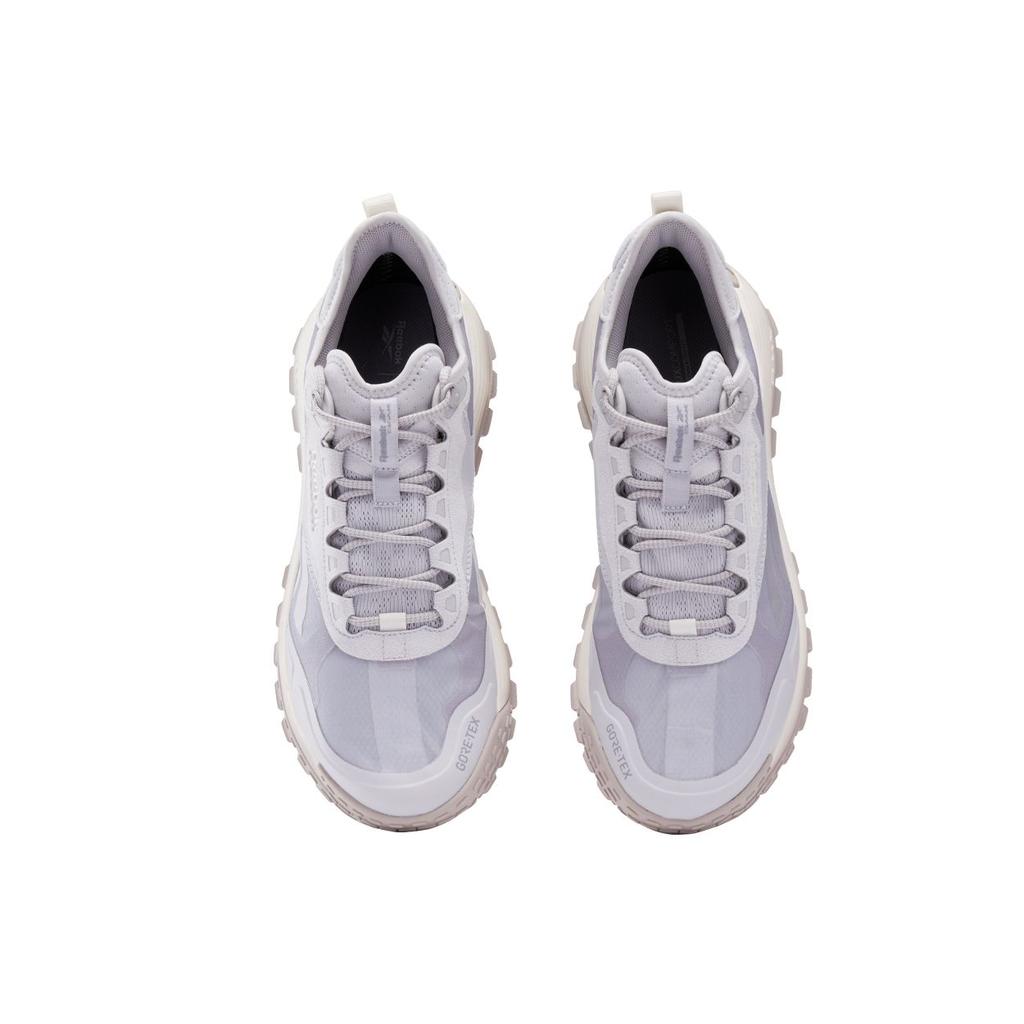 Reebok DMX Trail GORE-TEX Grey Stone Chalk Unisex Sneakers 100200884