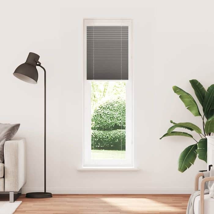 VidaXL Store plissé anthracite 60x200 cm largeur du tissu 59,4 cm, store plissé de fenêtre, store accordéon, store plissé de 4015101