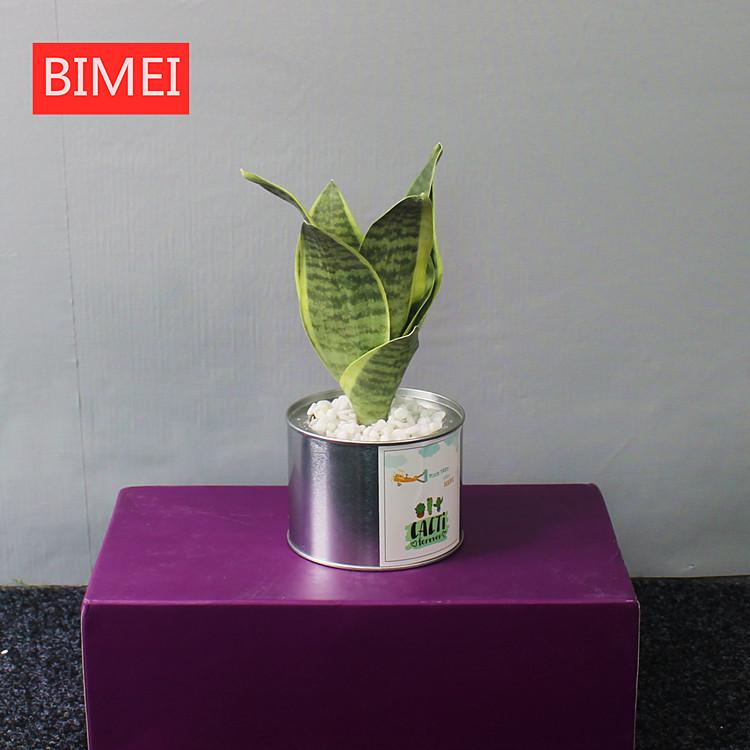 

Nordic Bonsai Flower Decor for Home, Living Room, Hotel & B&B