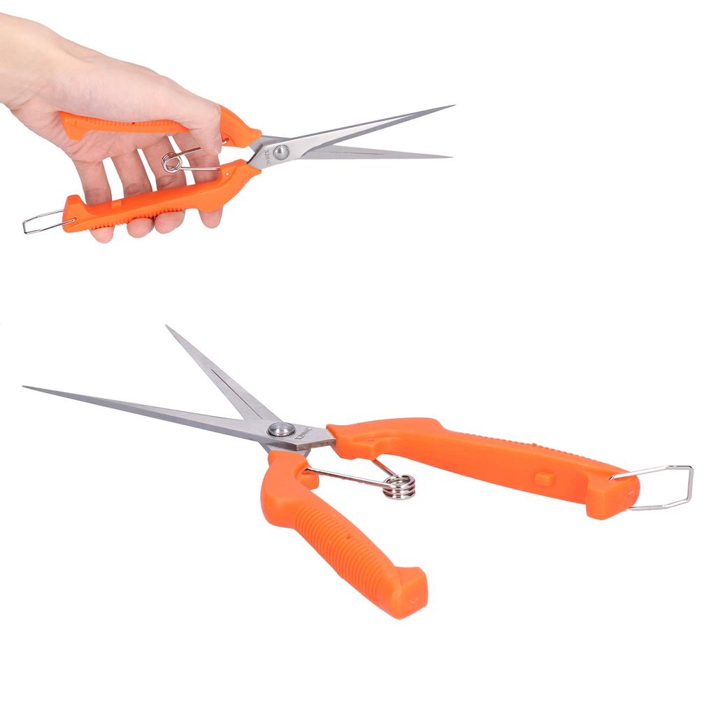 Gartenschere Langstiel Obstpflückschere zum Blumenarrangieren Pflanzen beschneiden