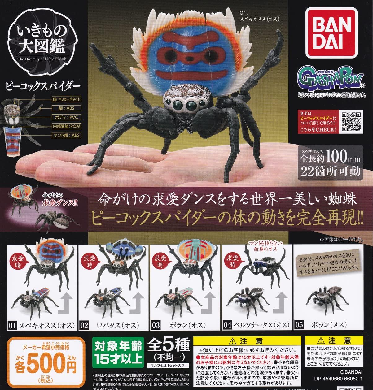 

Creature Encyclopedia Peacock Spider of 5 Types Gacha Gacha Capsule Toy [Set (Full Complete)]