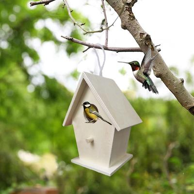 Oiseaux – Cages et accessoires