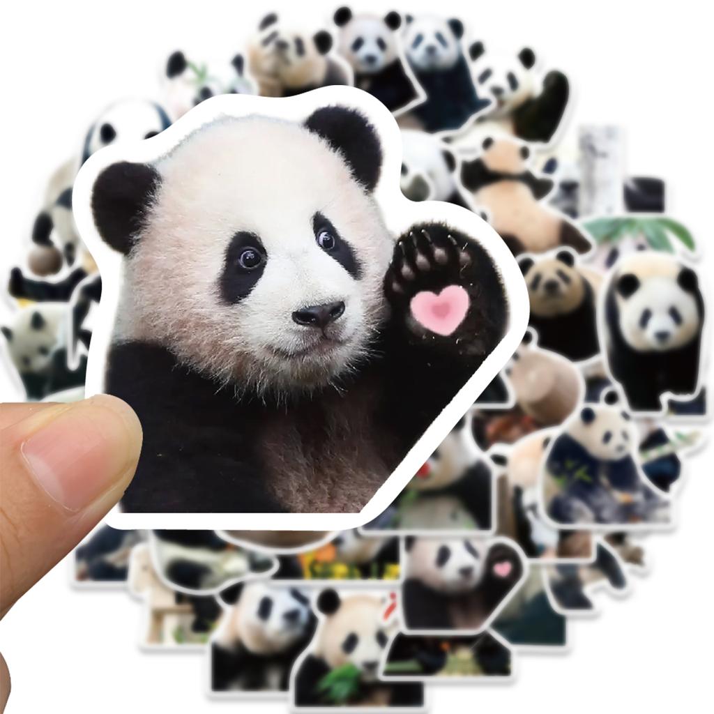 50PCS Cute Panda Cartoon Animals Graffiti Stickers DIY Phone Guitar Laptop Notebook Suitcase Cup Waterproof Sticker Kids Toy