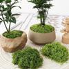 Woolen Landscape Wall with Simulated Moss and Rockery Stones for Gardens and Tanks