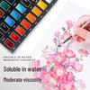 Solid Chinese Painting Pigment Set: 12 & 24 Color Options for Beginners