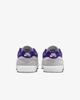 FV6064-006 Nike SB Malor Platinum Tint Wolf Grey Summit White Court (Men's)
