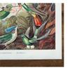 Ernst Haeckel Trochilidae Print