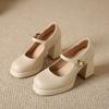 Dámské boty Mary Jane nové jarní a podzimní francouzské retro boty na podpatku s přezkou na jednom pásku silná voděodolná platforma jediné boty