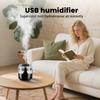 Colorful Humidifier Mini Big Spray Mute Humidifier Indoor Office Portable Small Night Light Bedroom Air Humidifier