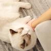 Corner Pet Brush Massage Rubbing Board Multifunctional Silicone Self Grooming Comb Cat Scratcher