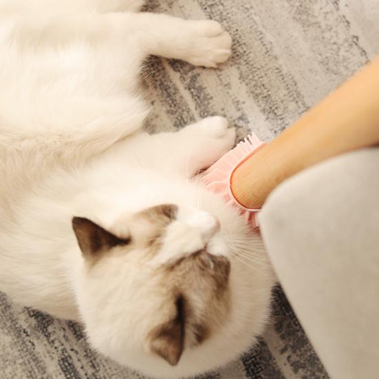 Corner Pet Brush Massage Rubbing Board Multifunctional Silicone Self Grooming Comb Cat Scratcher