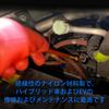 ZKTOOL 20mm 1000V insulation inspection mirror set is a portable