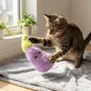 Eggplant Shaped Squeaky Dog Toys Adorable Interactive Cat Toys Cat Teaser Toy  Entertainment