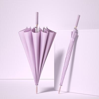 Straight Leather Handle 11 Bone Small Fresh Color Scheme Umbrella Men and Women Car Umbrella Straight Handle Wind-resistant Long Handle Umbrella