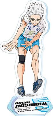 Anime Acrylic Stand 2 Korai Hoshiumi “Haikyu! ! ” 12.
