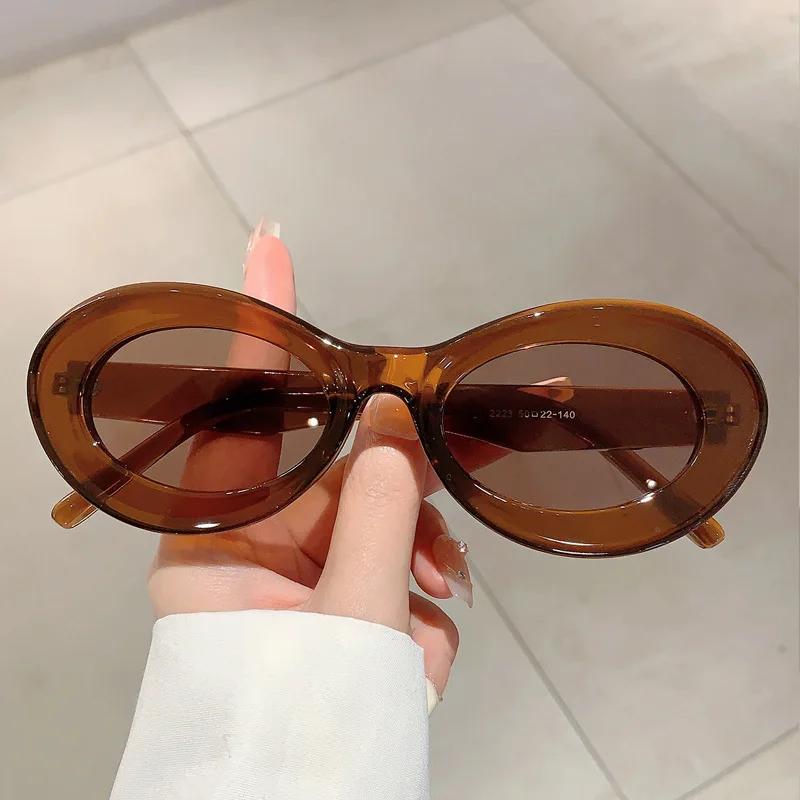 New Y2K Vintage Oval Sunglasses Women For Men Luxury Brand Designer Sun Glasses Steampunk Popular Pink Hip Hop Eyeglasses Frame