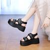 2025 new thick-soled belt buckle new Roman sandals women's fashion versatile muffin shoes go out in summer
