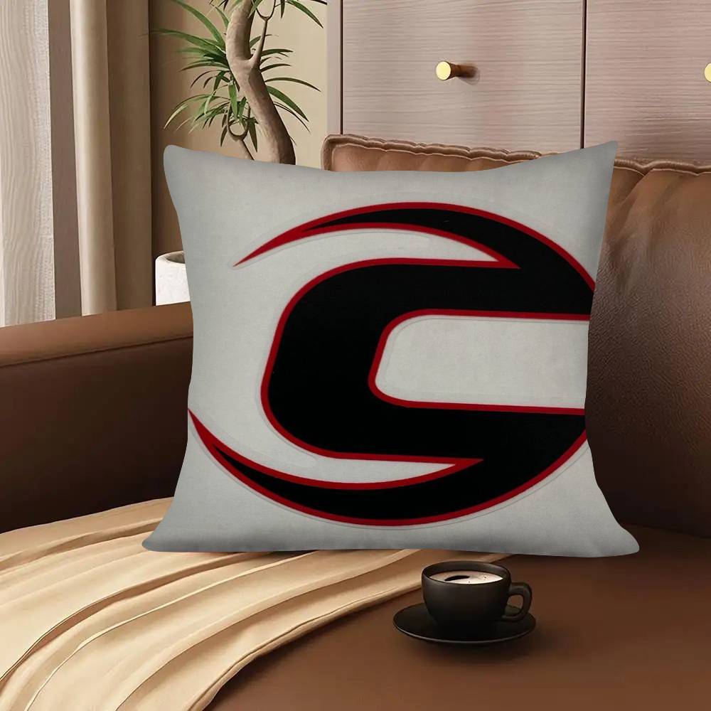 1Pc B-Cannondale Pillow Case Fashion Square Pillowcase Bedroom Sofa Room Ins Decoration Leisure