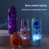 Portable Rechargeable Nano Spray Hydrator: Handheld Facial Steamer & Pet Disinfection Device