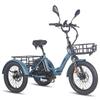FAFREES F20 Mate L2E-P Certified Folding Electric Cargo Tricycle,48V 500W motor,3 riding modes,maximum load capacity of 180kg.