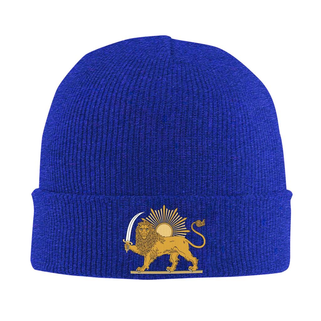 Lion And Sun Persian Emblem  Bonnet Hats Beanie Hats Autumn Winter Design Skullies Beanies Cute Unisex Women Unisex Hippie Warm Cap