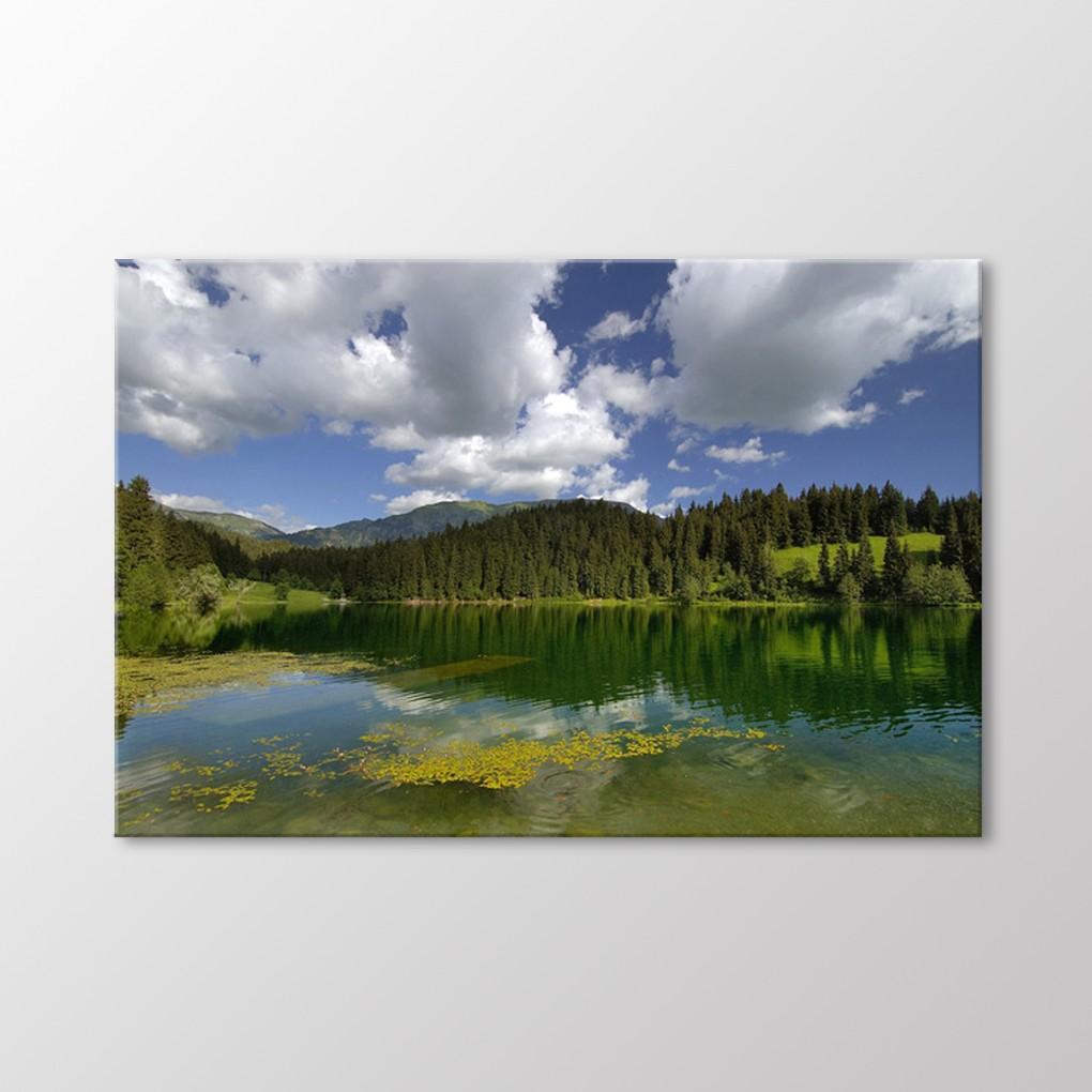 

Artvin Живопись