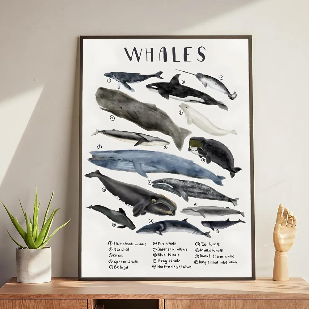 Whale and Shark Seashells Turtles Octopus Fish Marine Life Ocean Animals Poster and Print Canvas Painting  Wall Art Home Living Room
