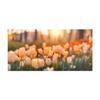 Havlandskap Lerretsmaleri Veggdekorasjoner Stuebilder Moderne Cuadros-plakater og utskrifter Dropship Home Decor Printing