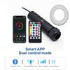 Auto Dach Sternenlicht DC12V 6W RGB LED 150 Stück Glasfaserlicht RF Fernbedienung