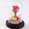 Eternal Flower Dried Flower Glass Cover Cylindrical Small Sea Urchin Night Light Gift Ornament Holiday Gift for Children and Friends
