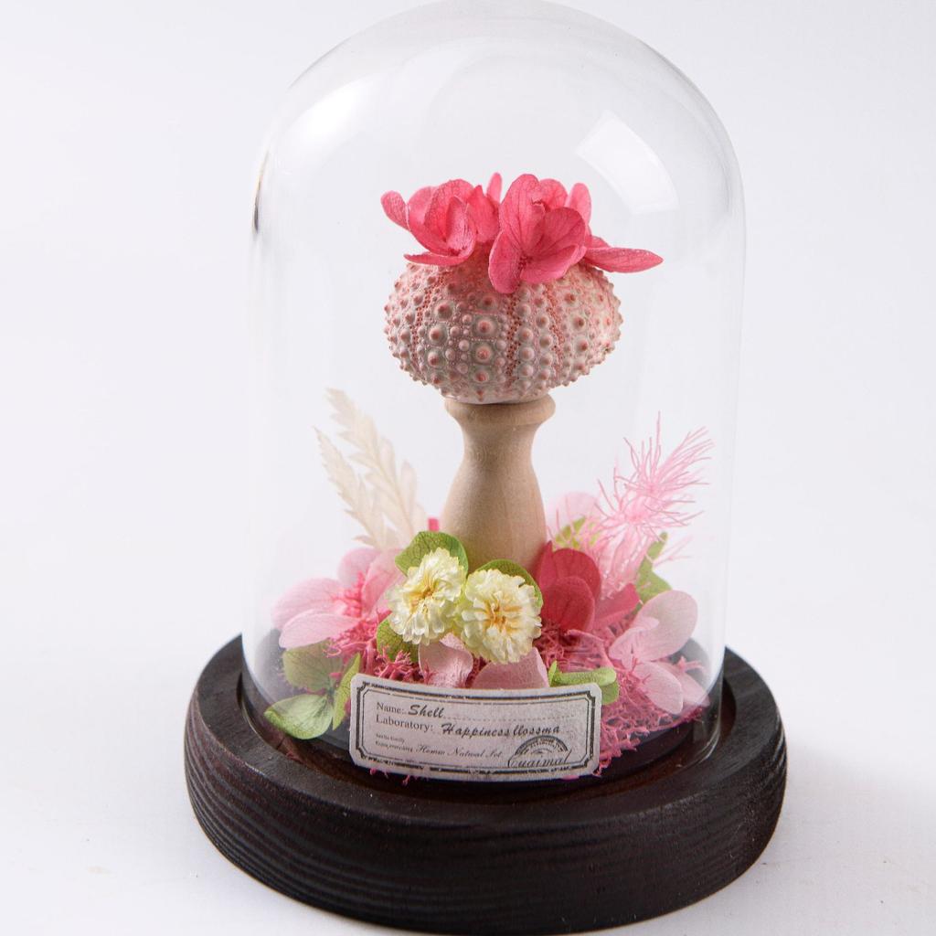 Eternal Flower Dried Flower Glass Cover Cylindrical Small Sea Urchin Night Light Gift Ornament Holiday Gift for Children and Friends