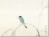 Hanging scroll "Finch" by Hayami Gyoshu, 1.5m wide, suitable for alcove, modern, masterful masterpiece reproduction, 2G9-053