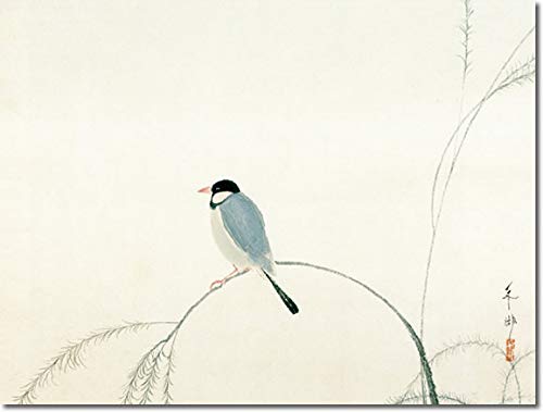 Hanging scroll "Finch" by Hayami Gyoshu, 1.5m wide, suitable for alcove, modern, masterful masterpiece reproduction, 2G9-053