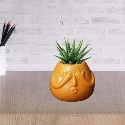 Cachepô de Desenho Animado para Plantas Pequenas, Vaso de Flor Único, Decoração de Jardim