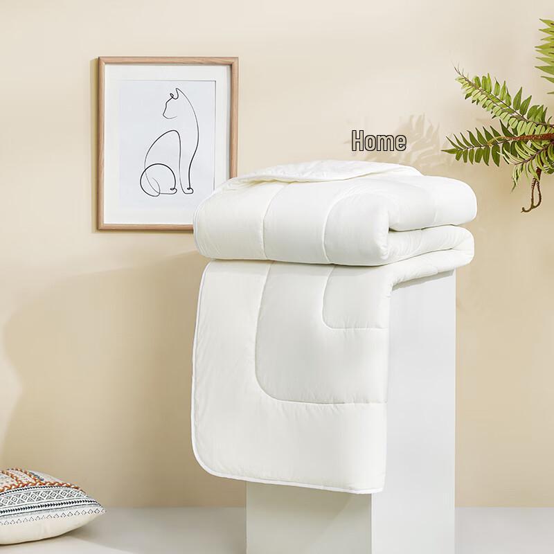 LUOLAI All-Season Cotton Soy Fiber Washable Quilt