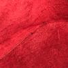 Louis Vuitton M48037 Epi Cannes Vanity bag Hand Bag Epi Leather Castilian Red