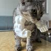 Muscular Arms for Cat, Meowscles Cosplay, Pet Prop Neck 3D Printed Arm, Pet Props Hanging Arm,Muscle Costume,Cosplay Accessories