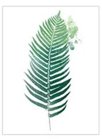 

Static Cling Privacy Windows Film Decorative Plant Leaves Stained Glass Window Stickers Frosted Window Cling Tint 67 (as the picture,40x60cm WxH)