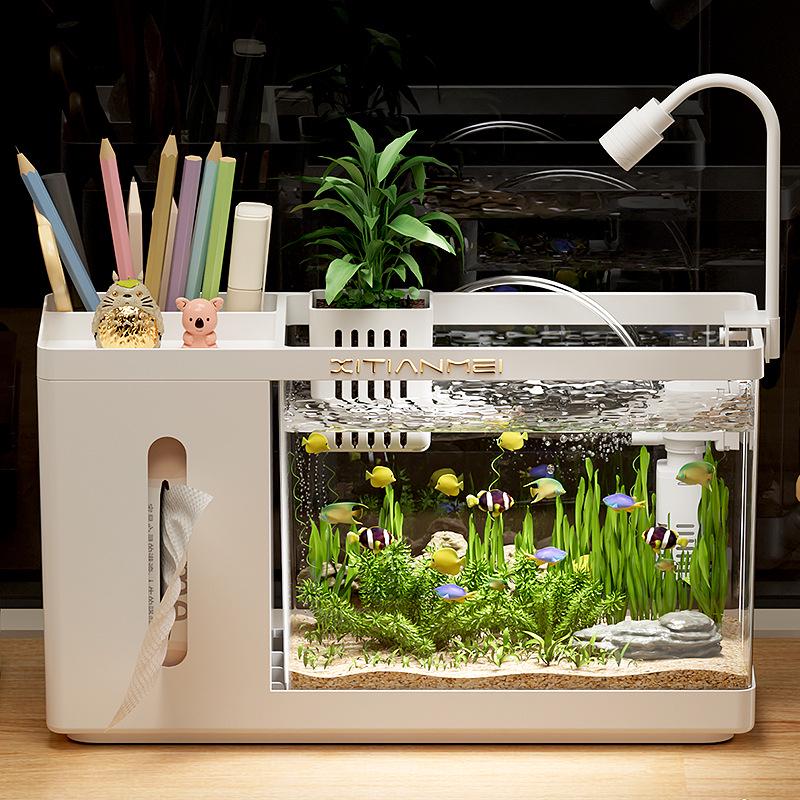 Multifunctional Ecological Aquarium: Creative Desktop Fish Tank Tissue Box for Living Room Landscaping