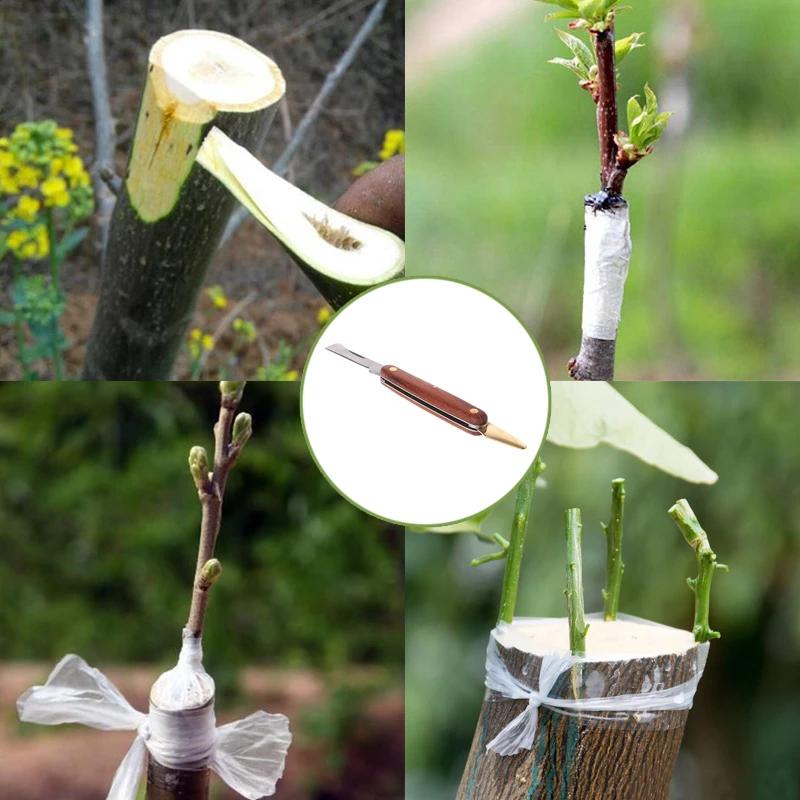 Garden Foldable Grafting Cutter Pruning Seedling Tree Scissor Open Bud SplicFCA Garden Foldable Grafting Cutter Pruning Seedling Tree Scissor Open Bud SplicFCA