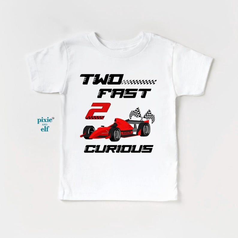Pit Crew Two Fast birthday shirt, Two fast Two curious birthday tee, matching family birthday tee, race car shirt, second birthday gift 100